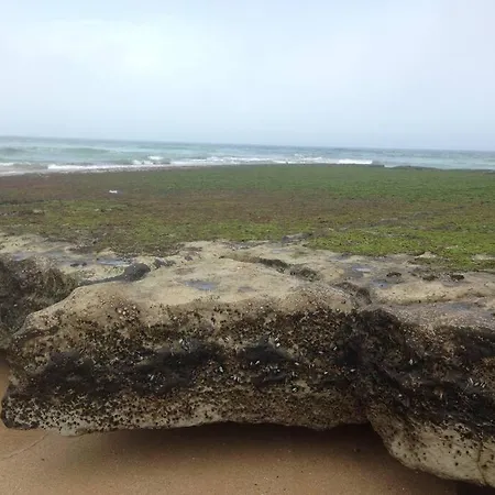 Ocean 11 Kwatera prywatna Carvoeira